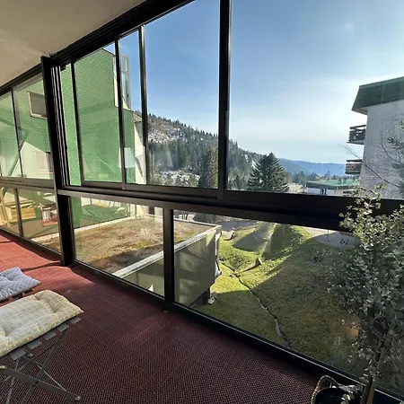 Apartment Appt Pied Des Pistes 53m2 -5pers La Bresse