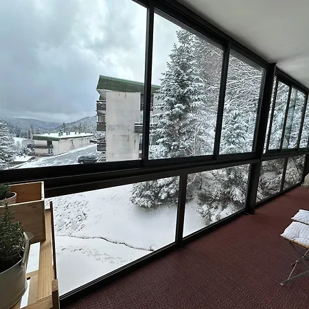 Διαμέρισμα Appt Pied Des Pistes 53m2 -5pers La Bresse